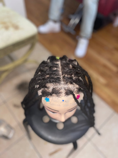 Pre Plucked Human Hair Wigs